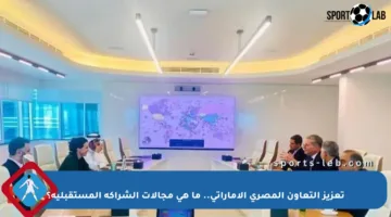 تعزيز التعاون المصري الإماراتي.. ما هي مجالات الشراكة المستقبلية؟